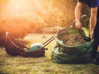 Soil and fertilizers