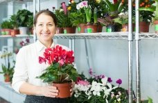 Humidity Keeps Houseplants Happy