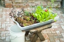 Hydroponic Gardening For Beautiful Plants (Gardening Tips)
