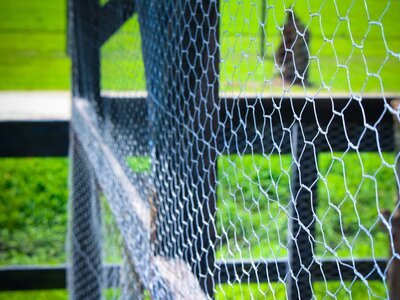 DIY Garden fence