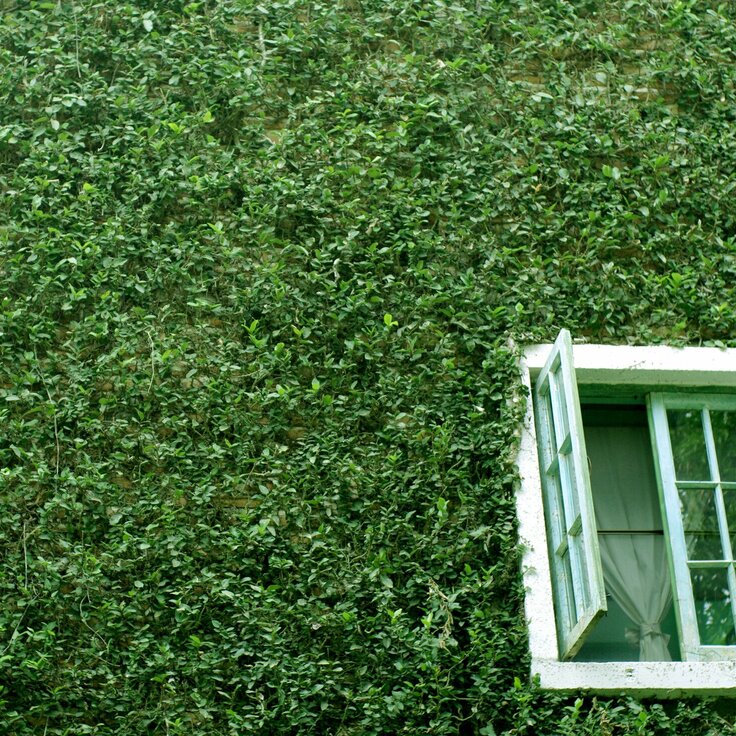 Green Home Upgrades That Actually Pay Off (United States of America)