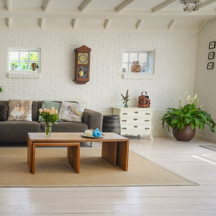 How to Choose the Right Indoor Plants for Any Home: Space, Light, and Lifestyle Considerations (Indoor plants)