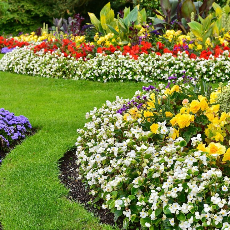 Budget-Friendly Landscaping Ideas for HOA Communities (United States of America)