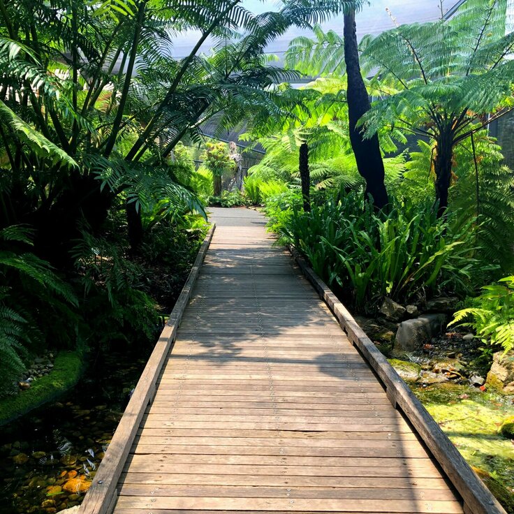 Before You Book Another Getaway: Budget-Friendly Plant Projects That Bring the Resort Vibe Home (Gardening Tips)