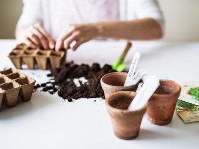 Gardening Tips For March That Will Help You Grow Vegetables and Flowers