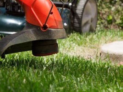 5 Lawn care tips (Lawn)