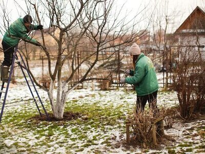 Getting Gardens Ready for Winter (Gardening Tips)