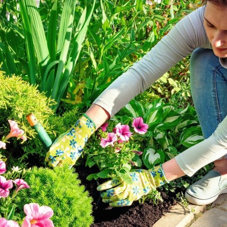 Successful Spring Planting