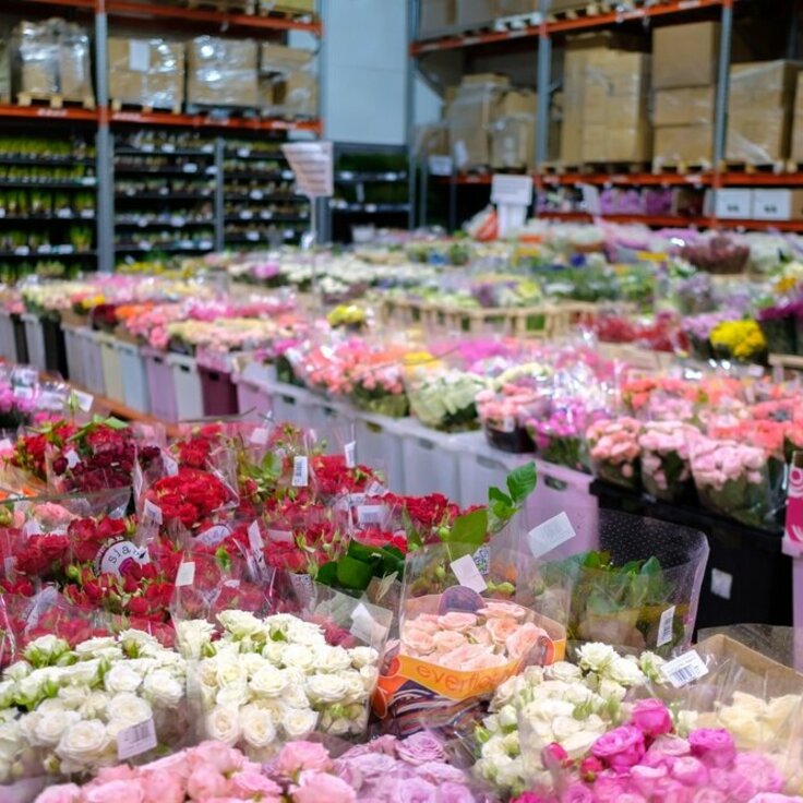 Launching a flower shop business? 6 tips for choosing the best floral wholesaler