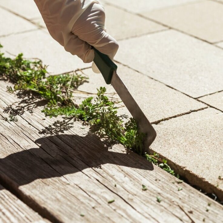 Garden Weeding Made Easy