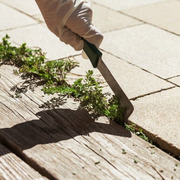 Effective methods for weed removal