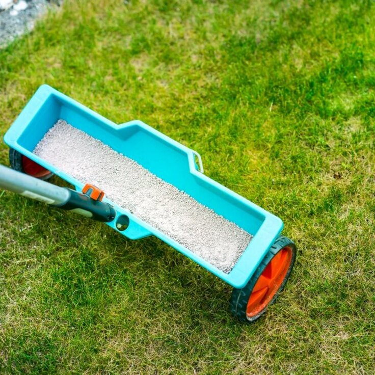 Organic Fertilizer for Your Lawn: How and When to Use It? (Gardening)