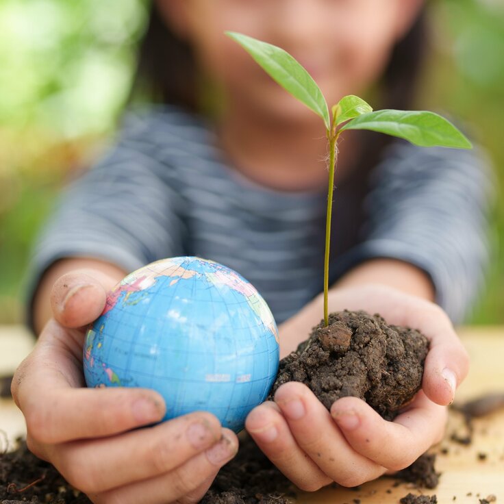 10 Small Ways To Go Easier on the Environment (Do It Yourself)