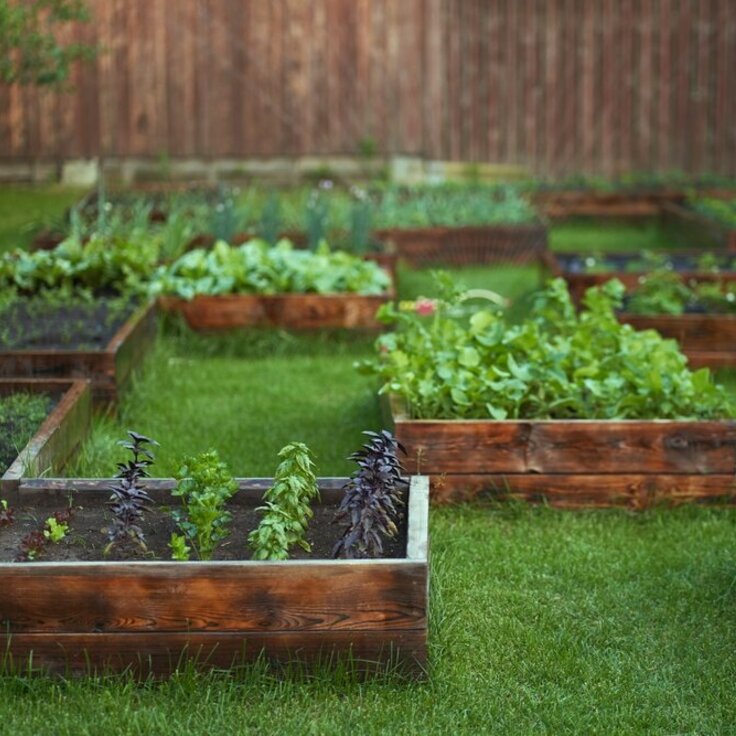 Easy Crop Rotation For Your Garden