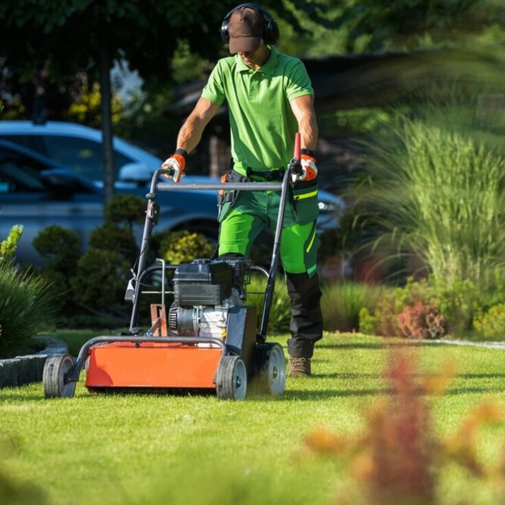 Verticutting the Lawn: How and When?