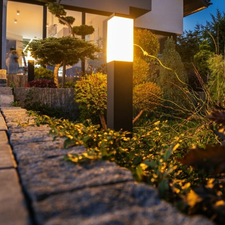 5 Garden Features That Deserve to Be Lit at Night (Gardening Tips)