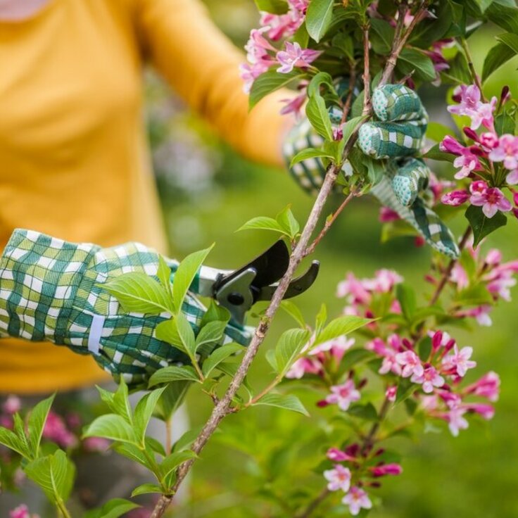 Purposeful Pruning