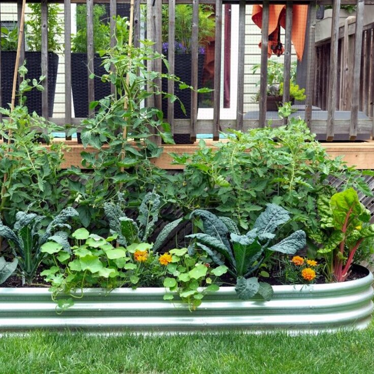 Vegetable Gardening