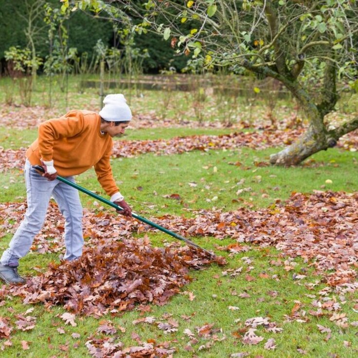 Fall Garden Chores