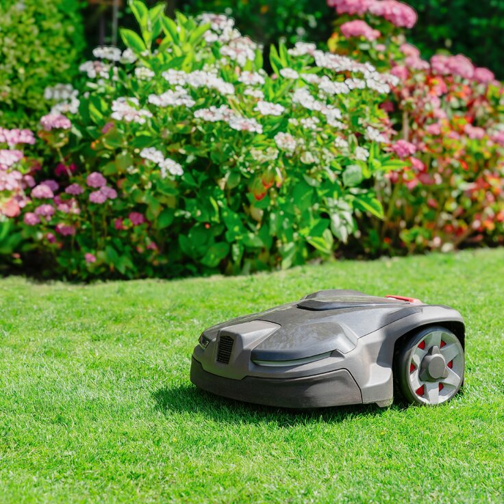 The Future of Gardening: How Smart Technology is Transforming Your Backyard (Gardening)