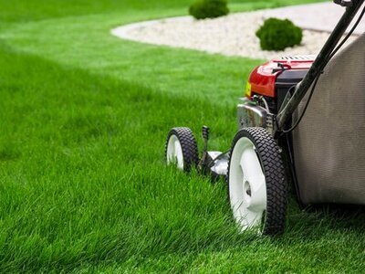 A Greener Lawn