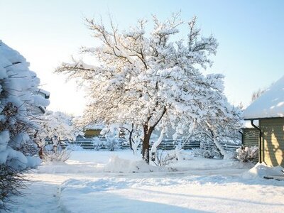 Winter can be your garden's friend (Gardening Tips)