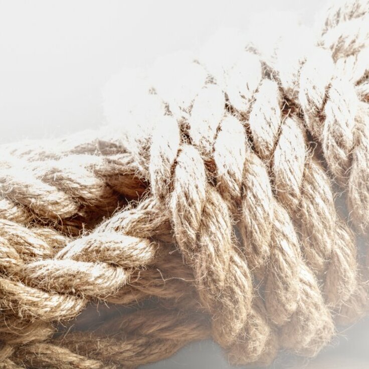 A DIY Rope Trellis Is The Low-Cost Vertical Growing System for Small UK Gardens (Do It Yourself)