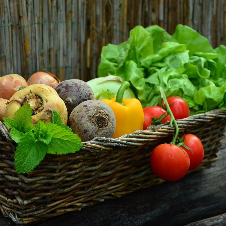 Benefits of growing your own vegetables (Gardening)