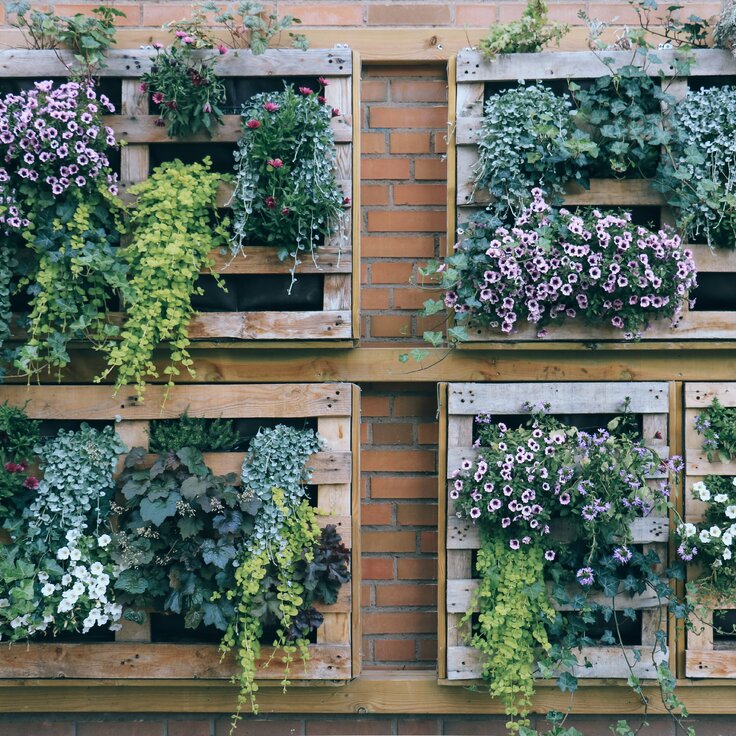 Top Plants for Vertical Gardens: Enhance Your Green Oasis