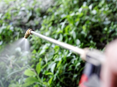 Best weed killer