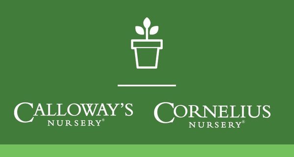 Logo Calloway's / Cornelius Nursery