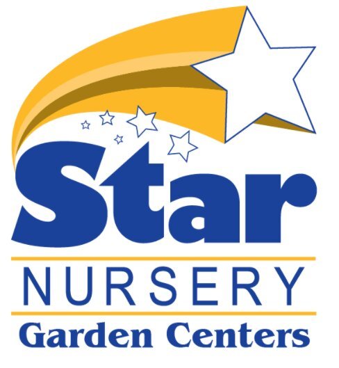 Logo Star Nursery