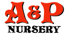 Logo A & P Nursery Queen Creek