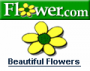 Logo Flower.com