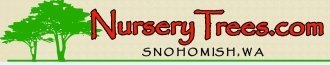 Logo Nurserytrees.com