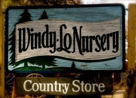 Logo Windy-lo Nursery