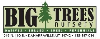 Logo Big Trees Nursery