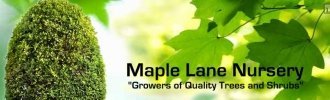 Logo Maple Lane Nursery
