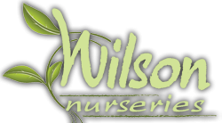 Logo Wilson Nurseries