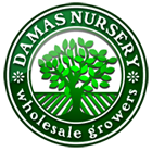 Logo Damas Nursery