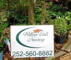 Logo Willow Oak Nursery