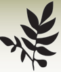 Logo 13th Street Nursery
