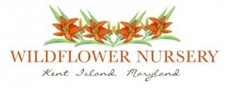 Logo Wildflower Nursery