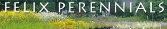 Logo Felix Perennials
