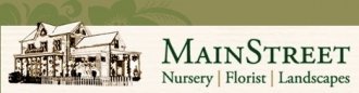Logo Main Street Nursery