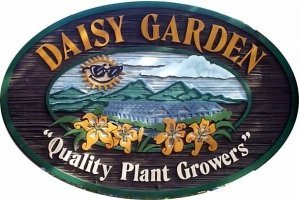 Logo tuincentrum Daisy Garden Corp