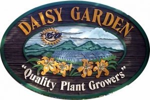 Logo Daisy Garden Corp