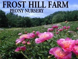 Frost Hill Farm Peony Nursery Garden Center Guide