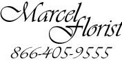 Logo Marcel Florist & Garden