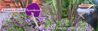 Logo Loomis Creek Nursery